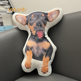 Photo Custom Shape Pillow Case DIY Pet Cushion Toys Dolls Stuffed Animal Dog Cat Picture Pillow Customization Sofa Car Cushion