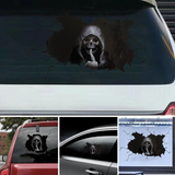 Halloween Skull Sticker Car Rear Windshield Horror Silent Atmosphere Decals Auto Window Wall Festival Decoration Car Stickers